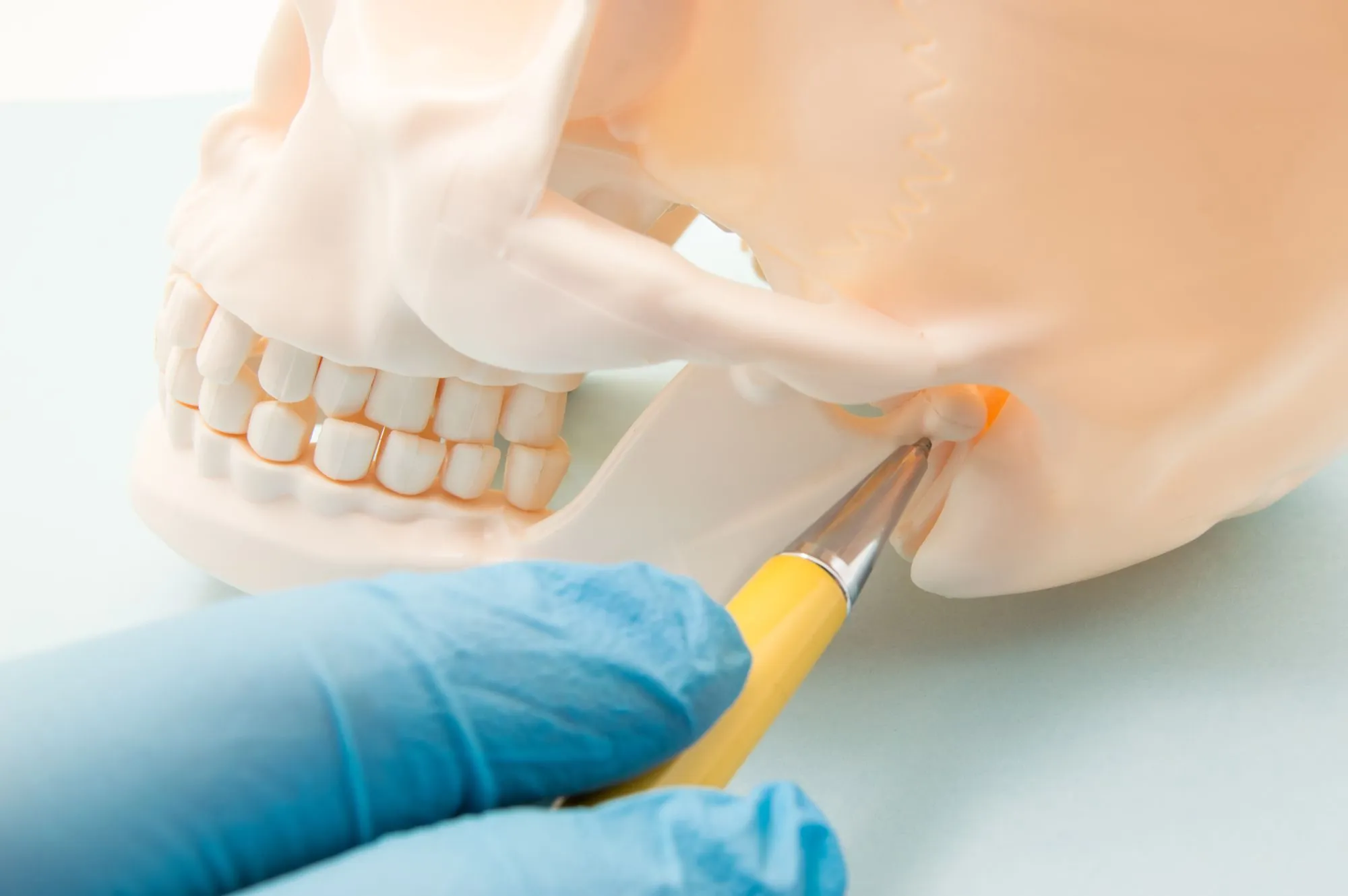 dentist showing where TMJ pain comes from